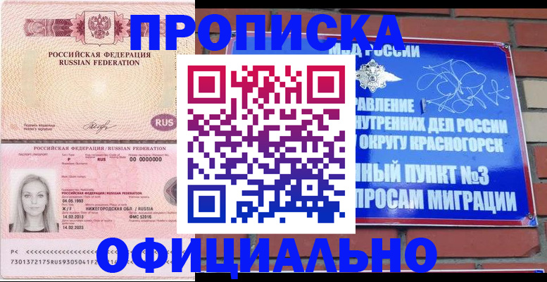 временная регистрация собственник в Камчатской области